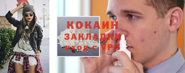 шишки Новозыбков