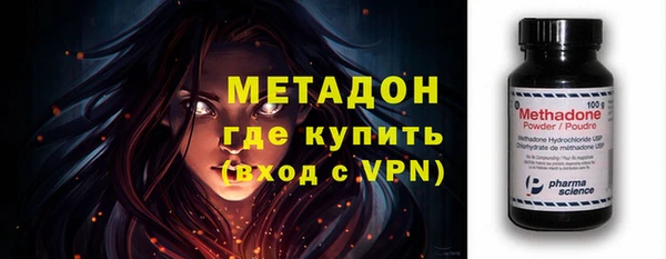 шишки Новозыбков
