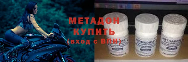 шишки Новозыбков