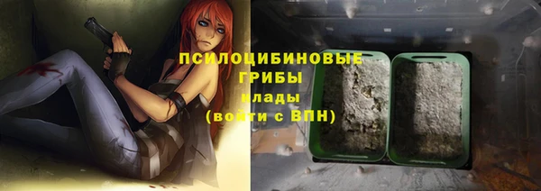 шишки Новозыбков