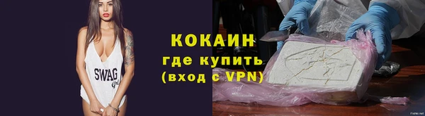шишки Новозыбков