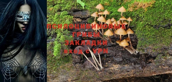 экстази Богородск