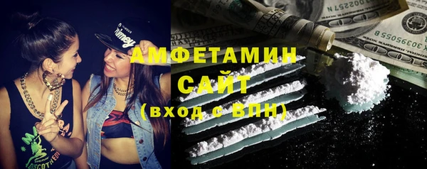 шишки Новозыбков