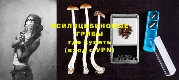 спайс Верея