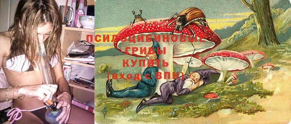 гашишное масло Новодвинск