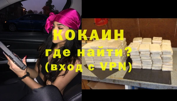 шишки Новозыбков