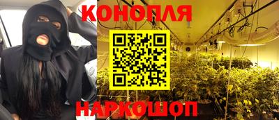 дмт Гусев