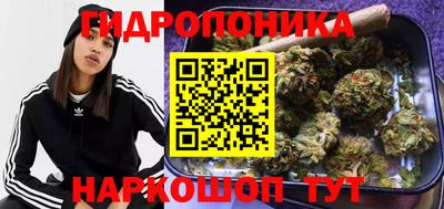 дмт Гусев