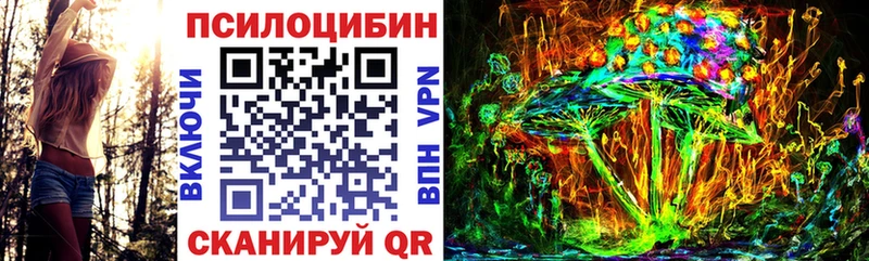 закладки  hydra ССЫЛКА  Галлюциногенные грибы прущие грибы  darknet состав  Искитим 