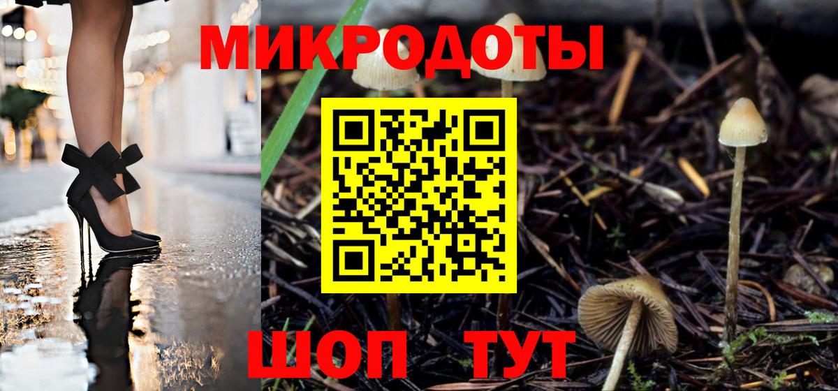 Псилоцибиновые грибы мухоморы  Искитим  Галлюциногенные грибы Psilocybe 